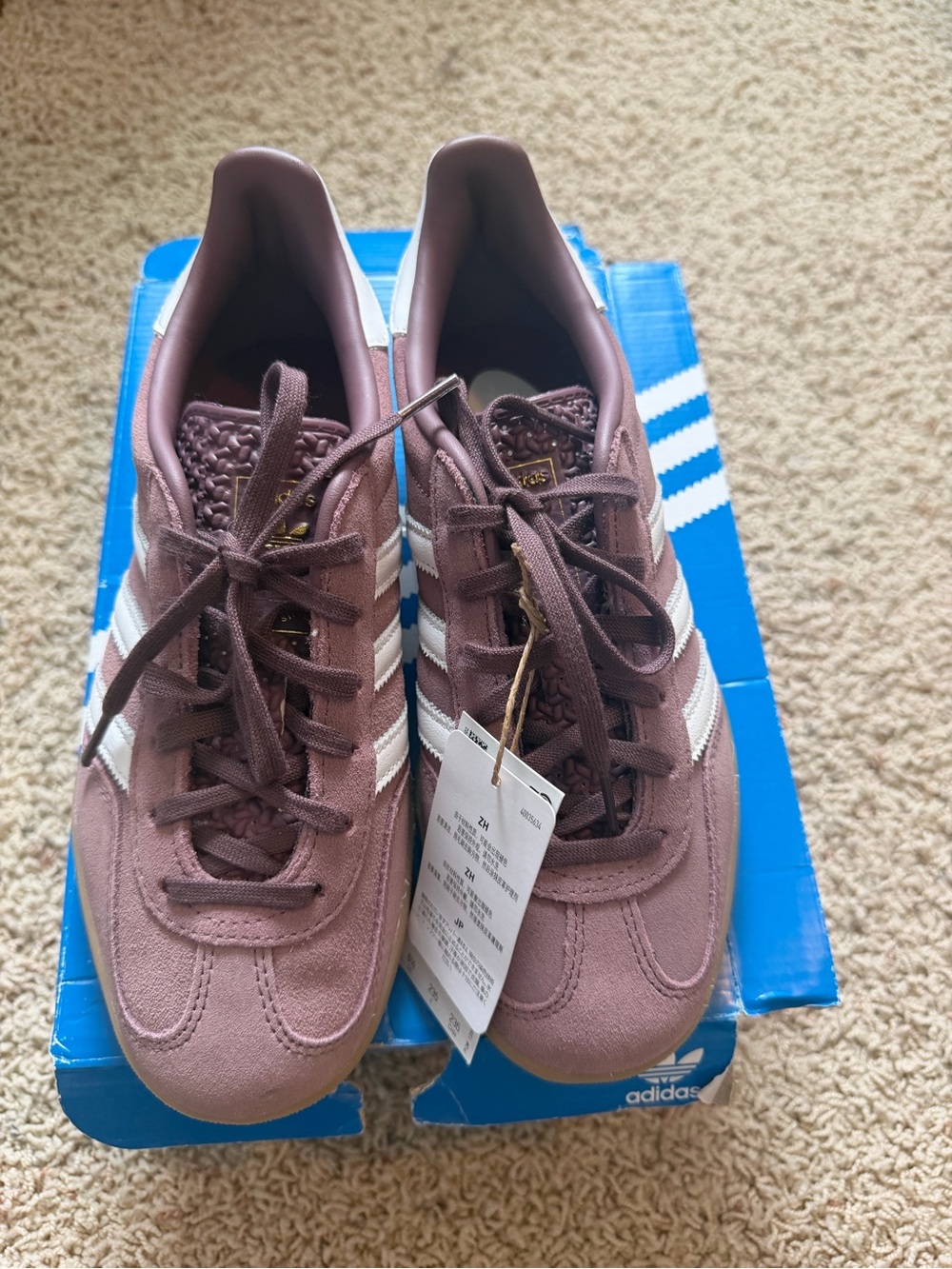 NEW with tags and box. Adidas Women's Gazelle Fig, 6.5 Rare color!